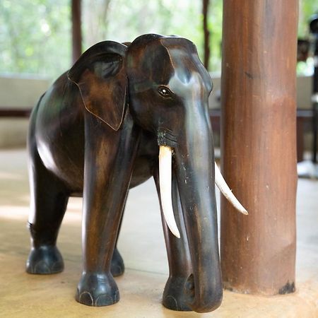Kaala Kalaththewa Luxury Eco Resort Anuradhapura Luaran gambar
