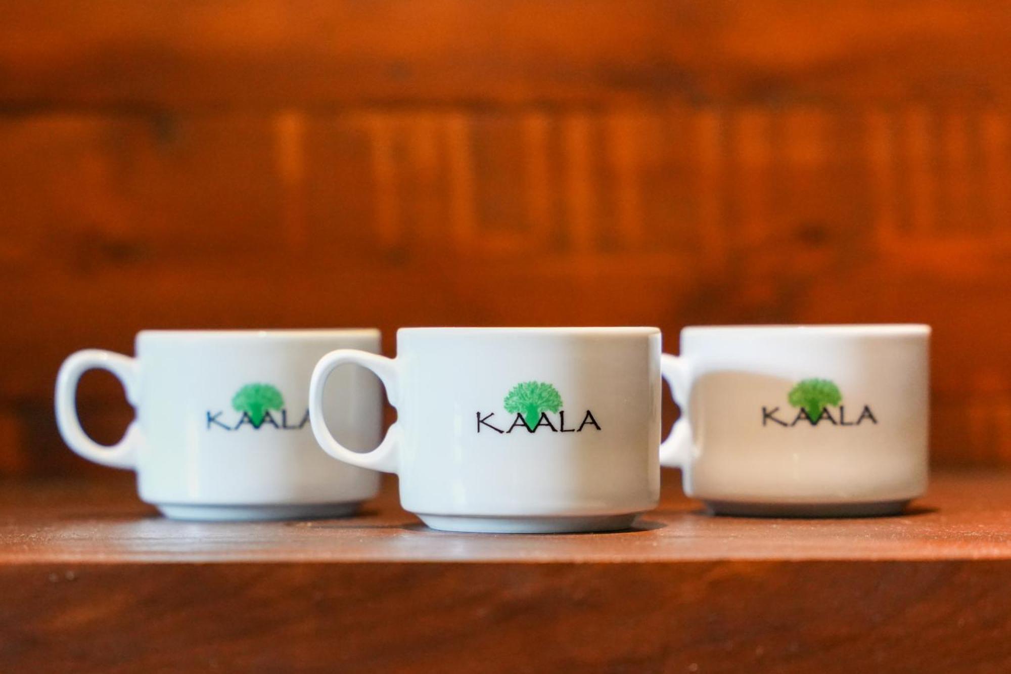 Kaala Kalaththewa Luxury Eco Resort Anuradhapura Luaran gambar