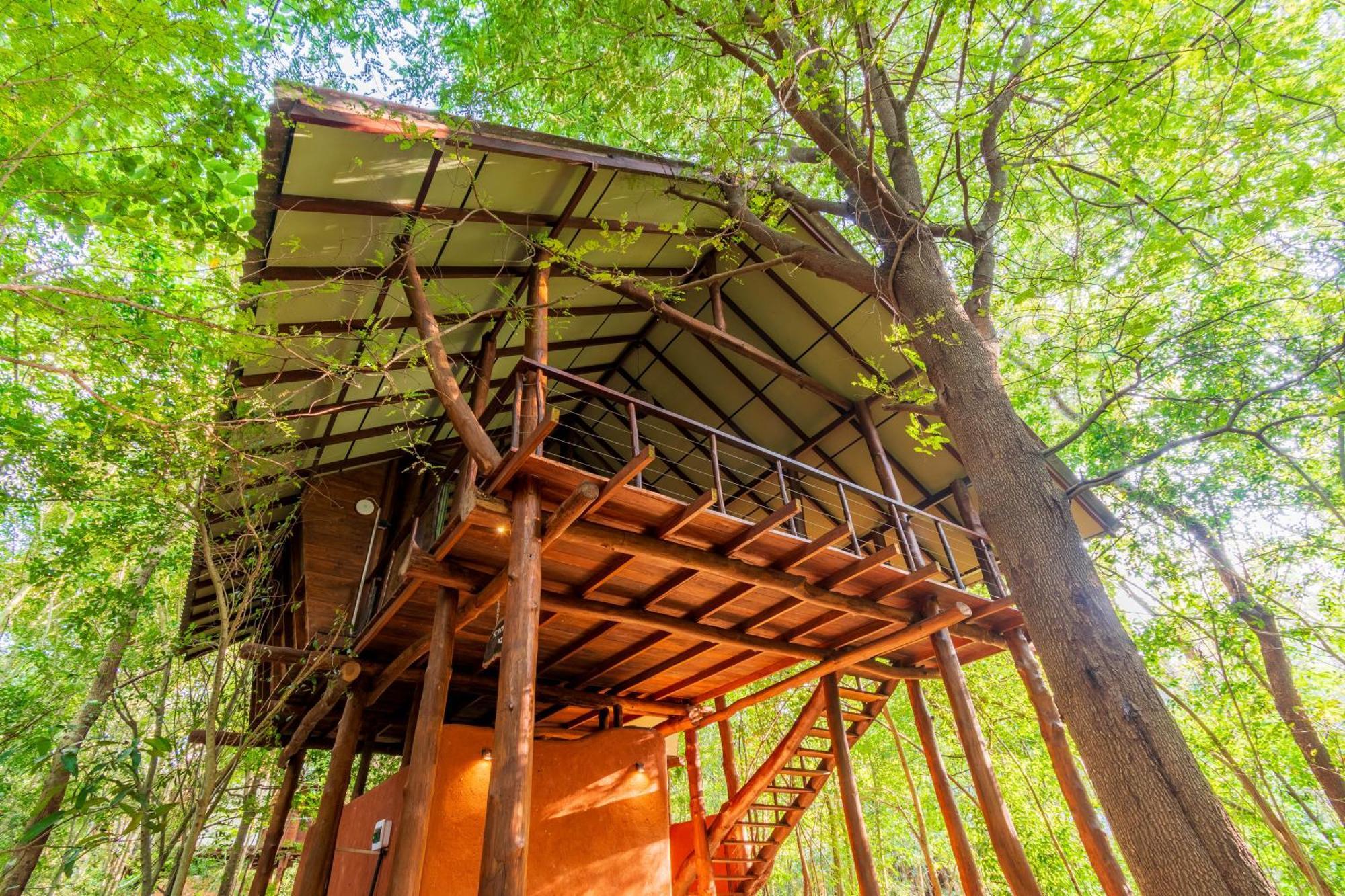 Kaala Kalaththewa Luxury Eco Resort Anuradhapura Luaran gambar