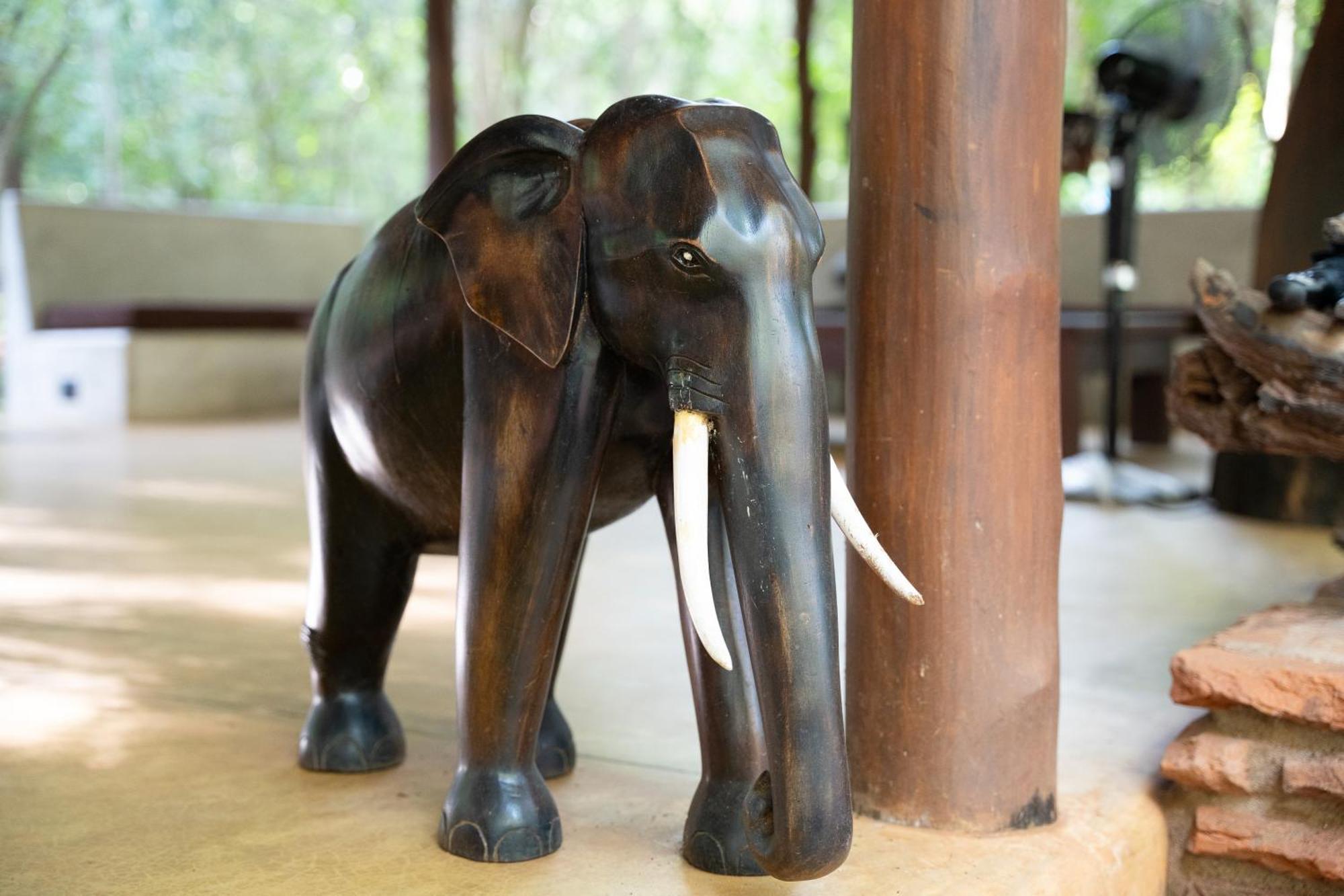 Kaala Kalaththewa Luxury Eco Resort Anuradhapura Luaran gambar