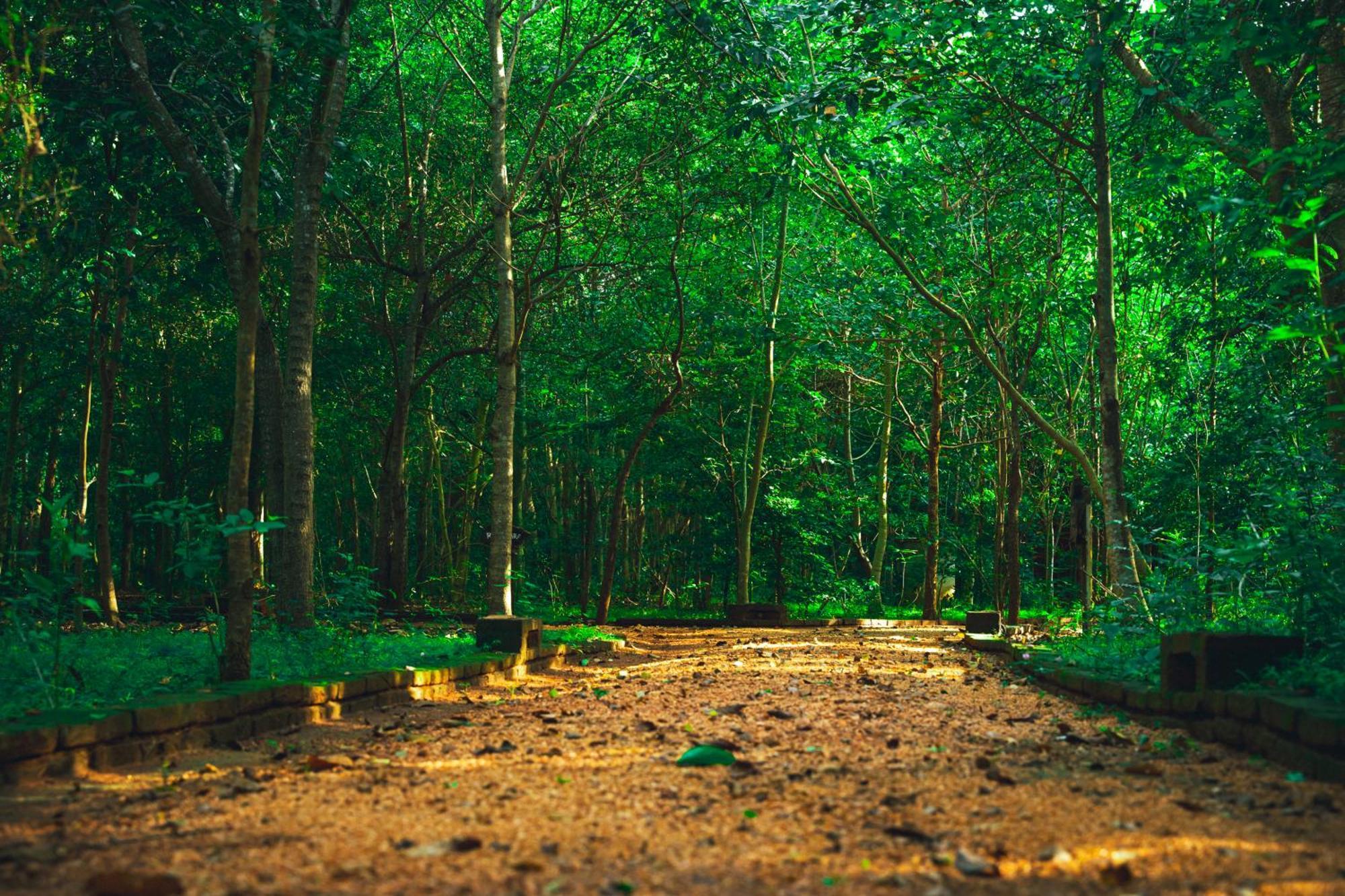 Kaala Kalaththewa Luxury Eco Resort Anuradhapura Luaran gambar